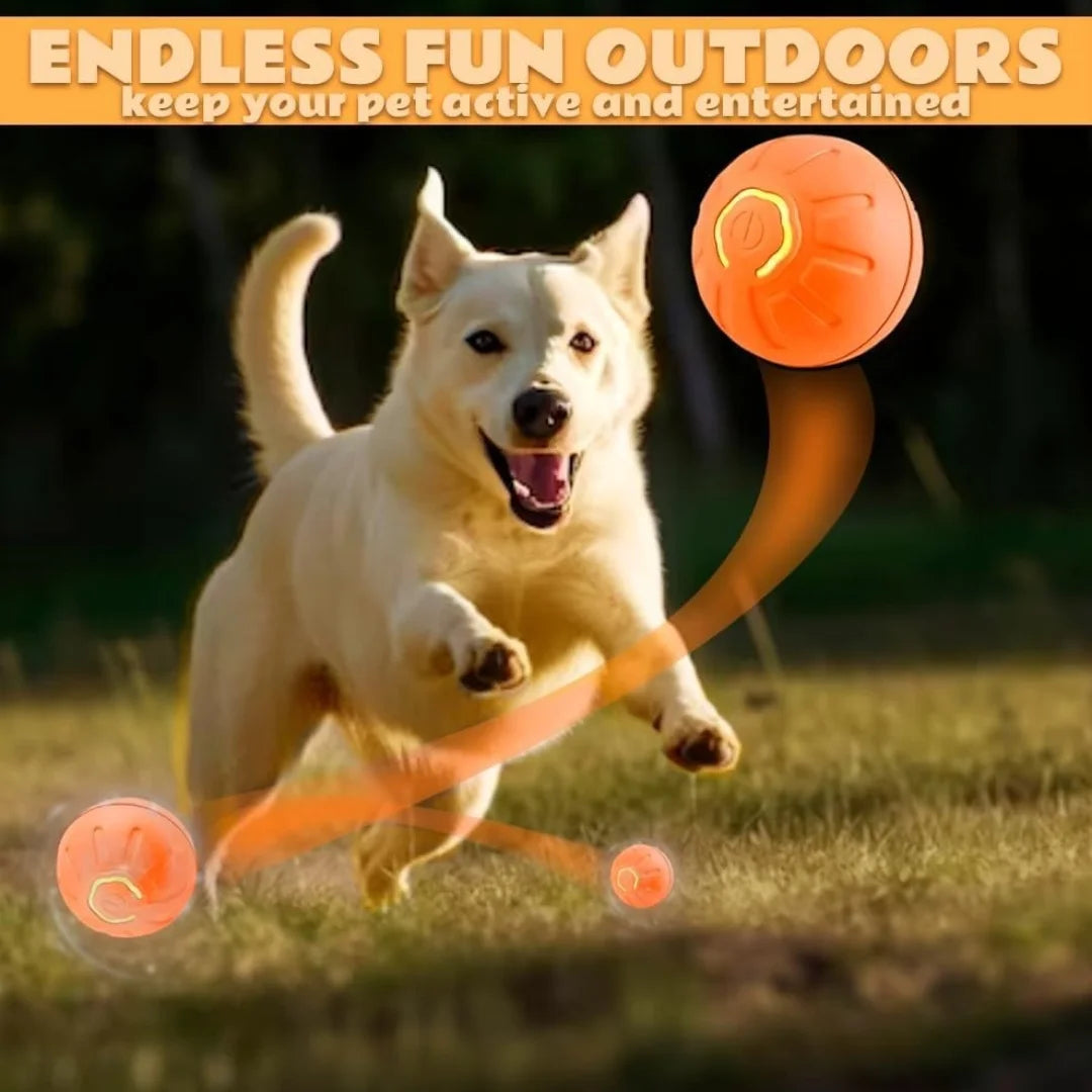 Electric Gravity Amusement  Bouncing Pet Ball