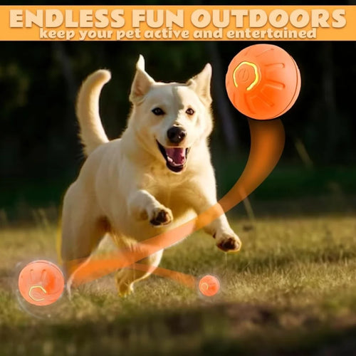 Electric Gravity Amusement Pet Ball