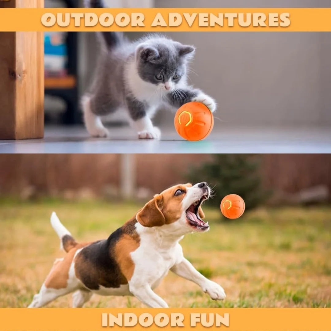 Electric Gravity Amusement  Bouncing Pet Ball