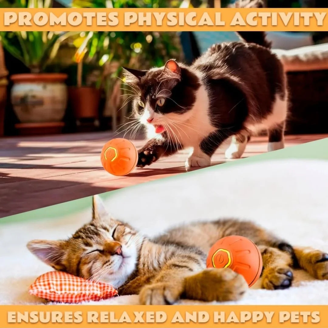 Electric Gravity Amusement  Bouncing Pet Ball