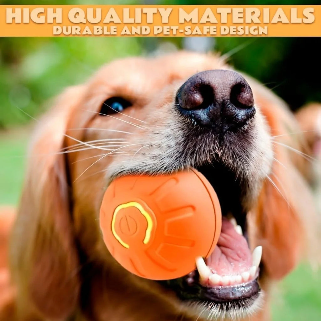 Electric Gravity Amusement  Bouncing Pet Ball